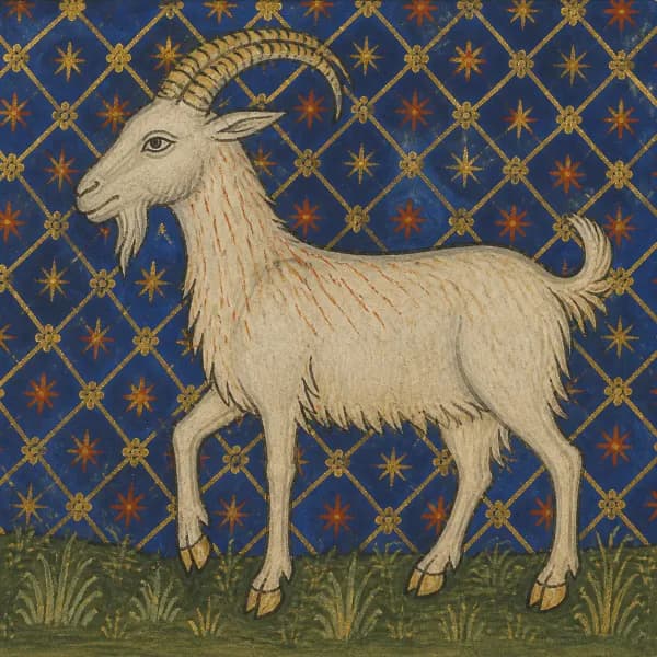 Year of the Goat